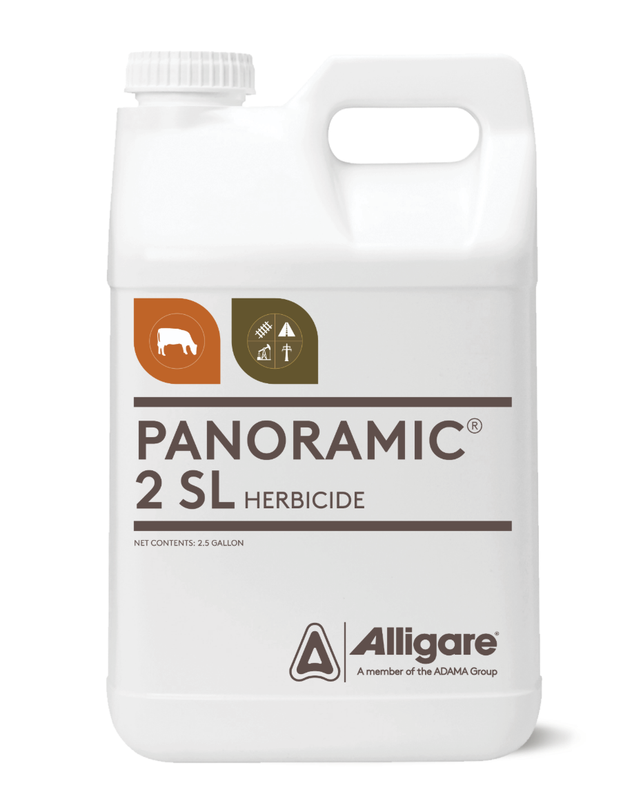 Picture of PANORAMIC (4X1GAL)