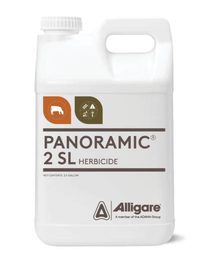 Picture of PANORAMIC (4X1GAL)