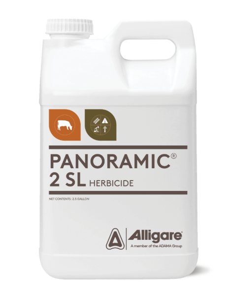 Picture of PANORAMIC (4X1GAL)