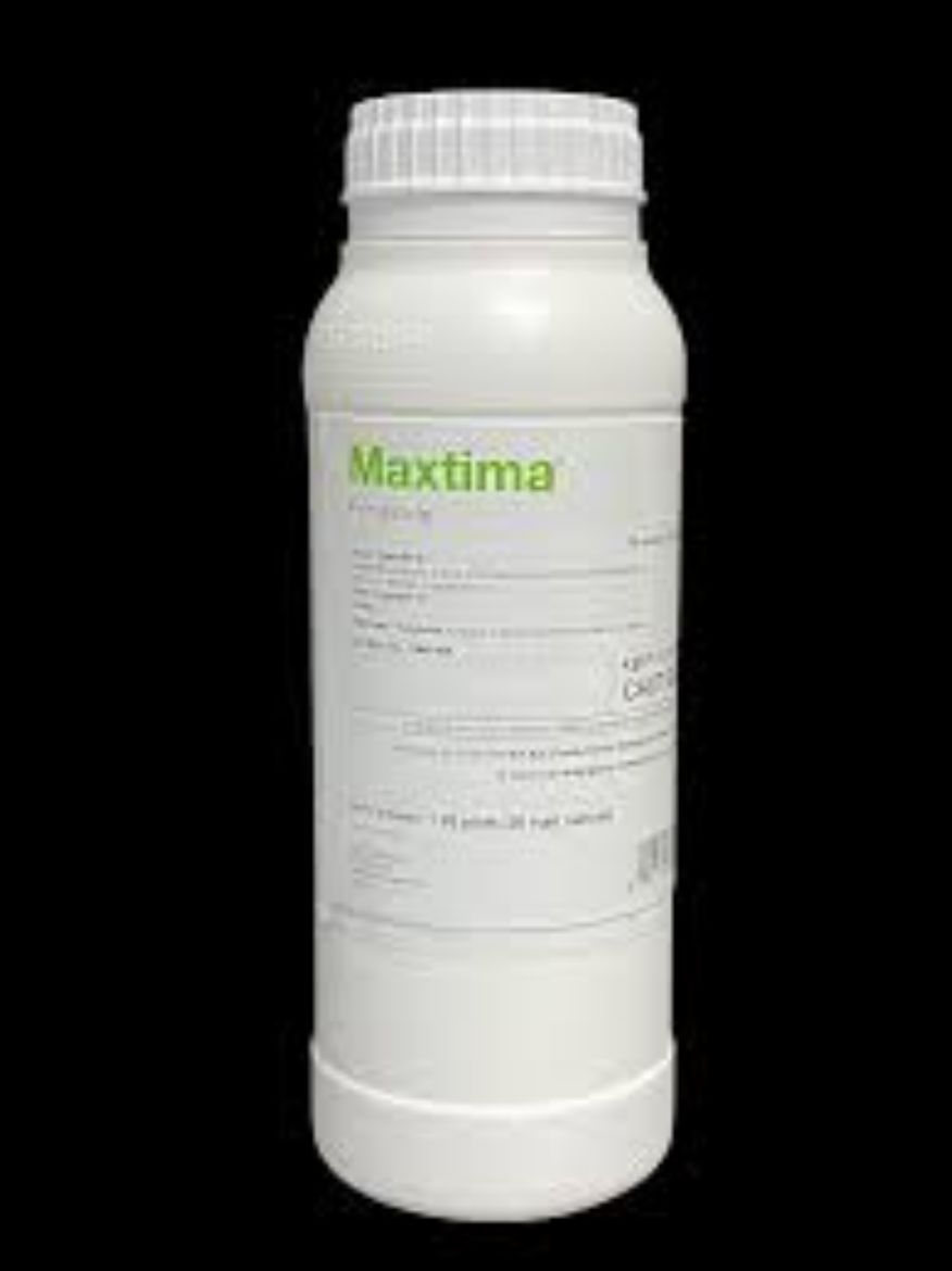 Picture of 26OZ EA MAXTIMA BASF AGENCY