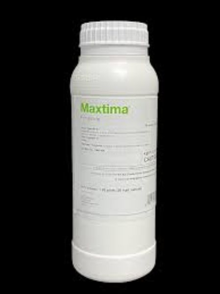 Picture of 26OZ EA MAXTIMA BASF AGENCY