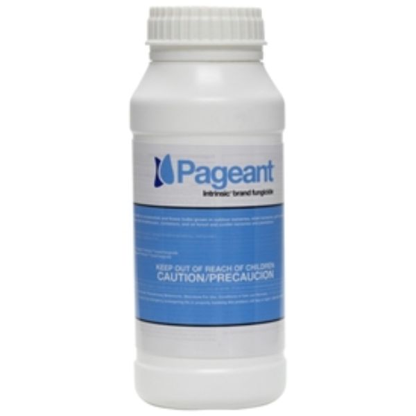 Picture of BASF 1 LB BOTTLE PAGEANT« FUNGICIDE AGENCY