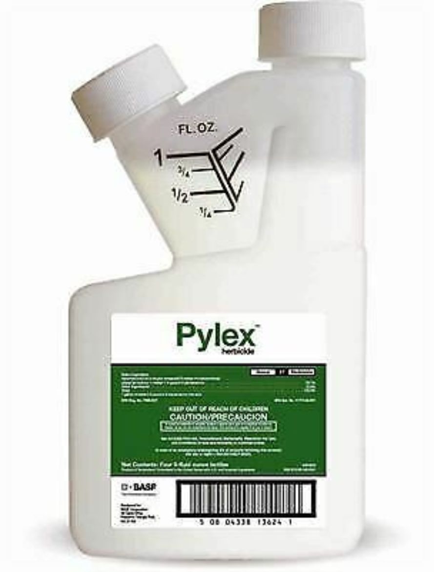 Picture of BASF 4OZ PYLEX HERBICIDE AGENCY
