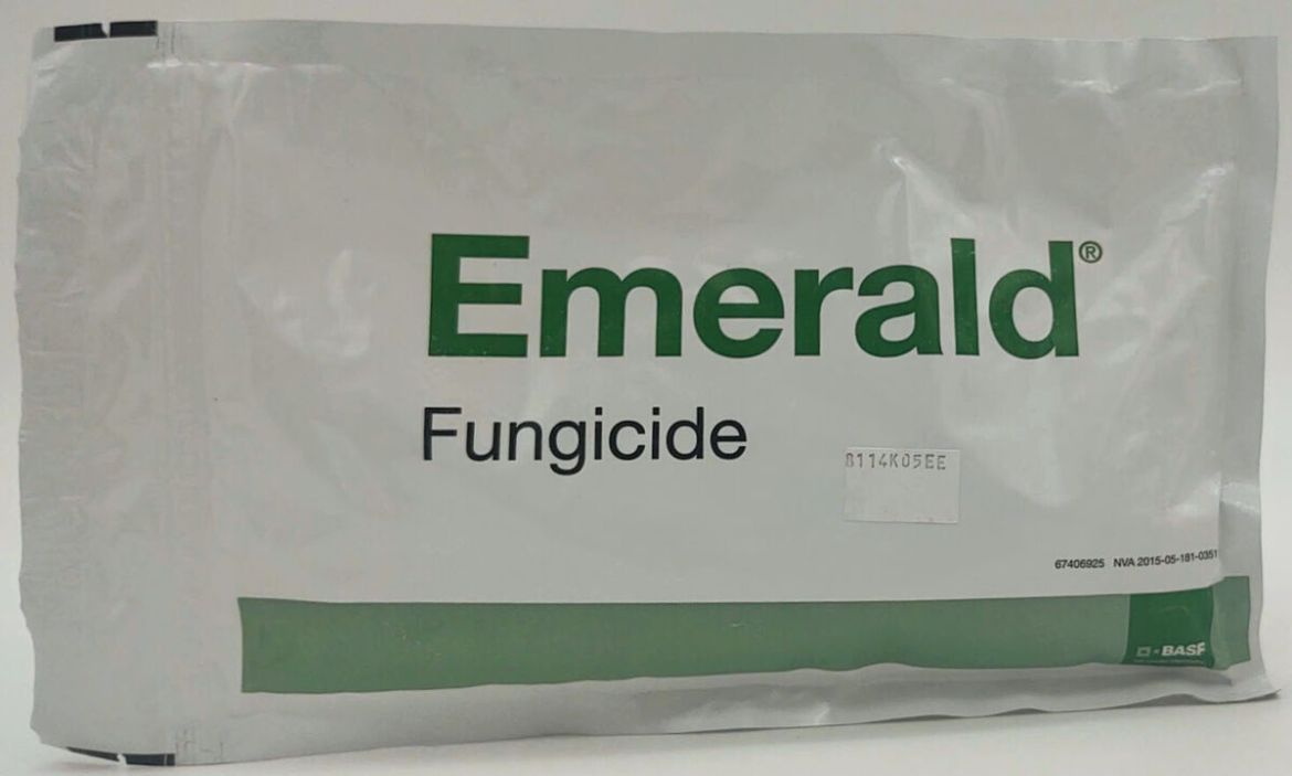 Picture of EMERALD (10X0.49LB) AGENCY