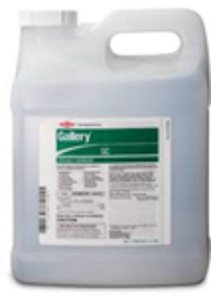Picture of GALLERY SC (2X2GAL) Agency