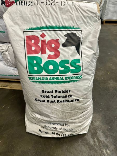 Picture of 50LB BIG BOSS ANNUAL RYEGRASS