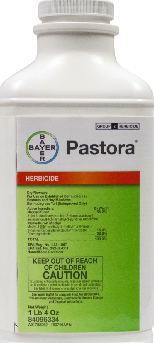 Picture of PASTORA HERBICIDE (8X20OZ)