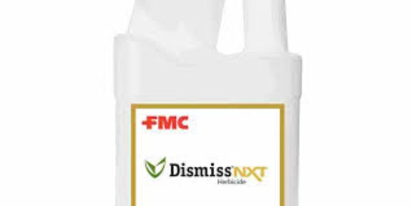 Picture of 10 OZ DISMISS NXT AGENCY