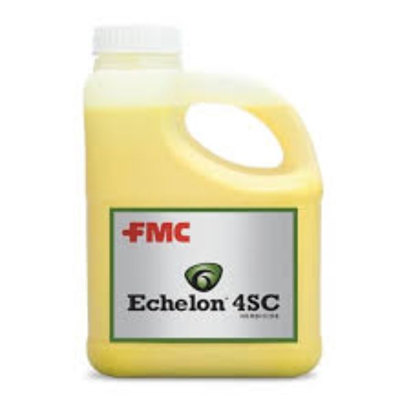 Picture of ECHELON 4SC (4X1GAL) AGENCY