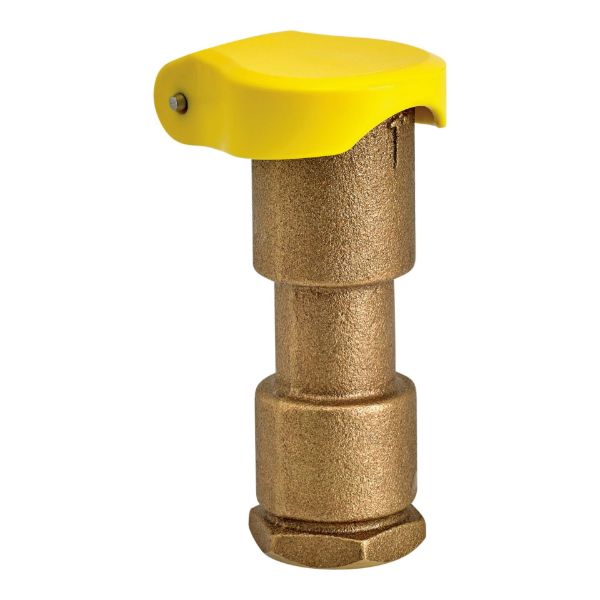 Picture of 1 QUICK CONNECT COUPLER VALVE