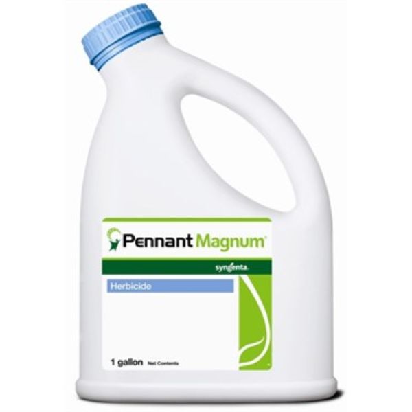 Picture of PENNANT MAGNUM (4X1GAL)