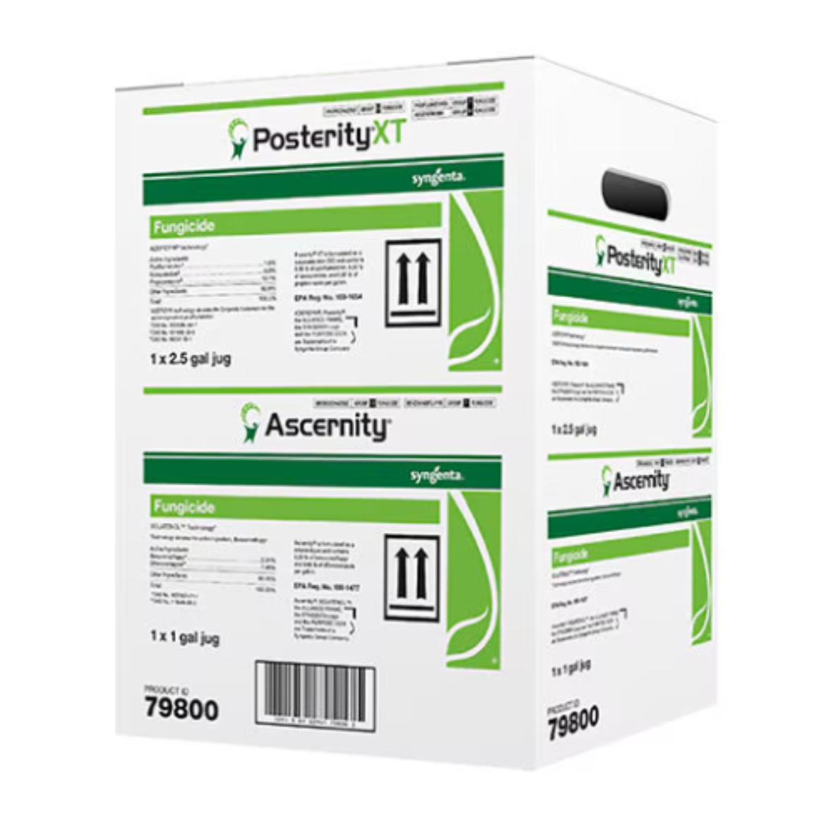 Picture of POSTERITY XT / ASCERNITY MULTIPAK