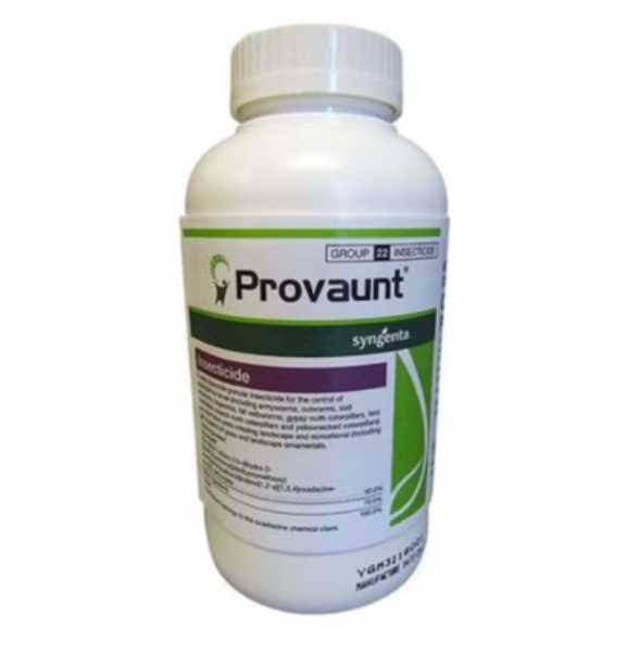 Picture of PROVAUNT 12 OZ