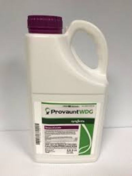 Picture of PROVAUNT WDG 4 X 72 OZ AGENCY