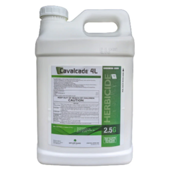 Picture of CAVALCADE (5X10LB)