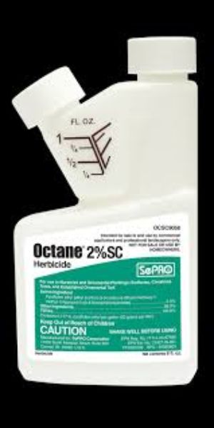 Picture of OCTANE HERBICIDE (12X8OZ)