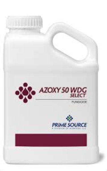 Picture of AZOXY 50 WDG (6X1LB)