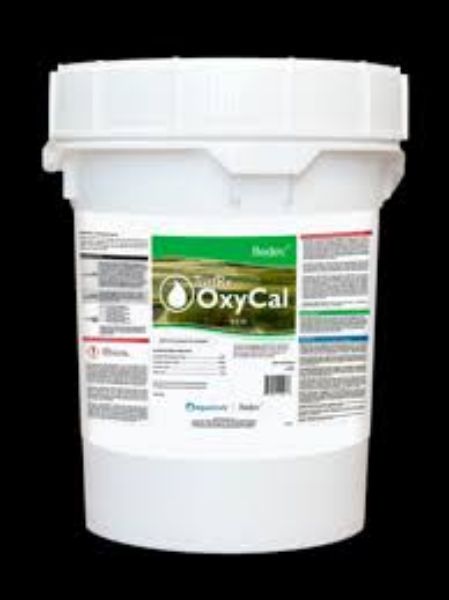 Picture of TurfRx OxyCal(20LB PAIL}