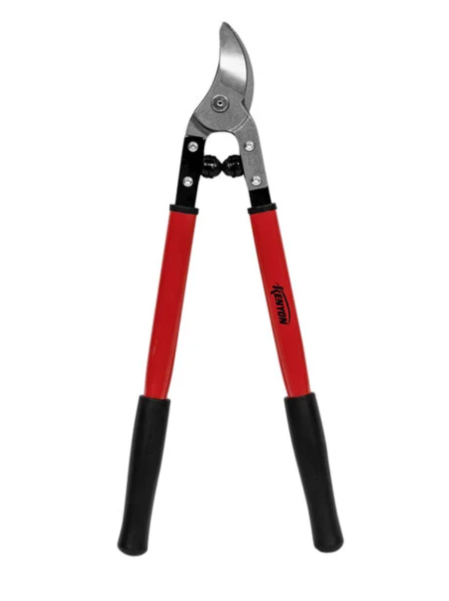 Picture of 19 BYPASS LOPPER, STEEL HANDLE 1 1/4 CAPACITY