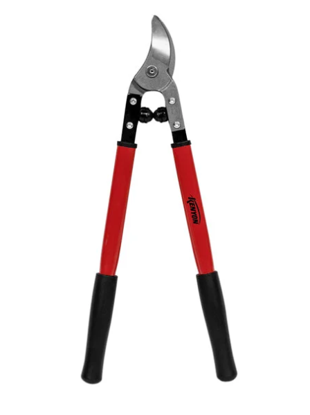 Picture of 19 BYPASS LOPPER, STEEL HANDLE 1 1/4 CAPACITY