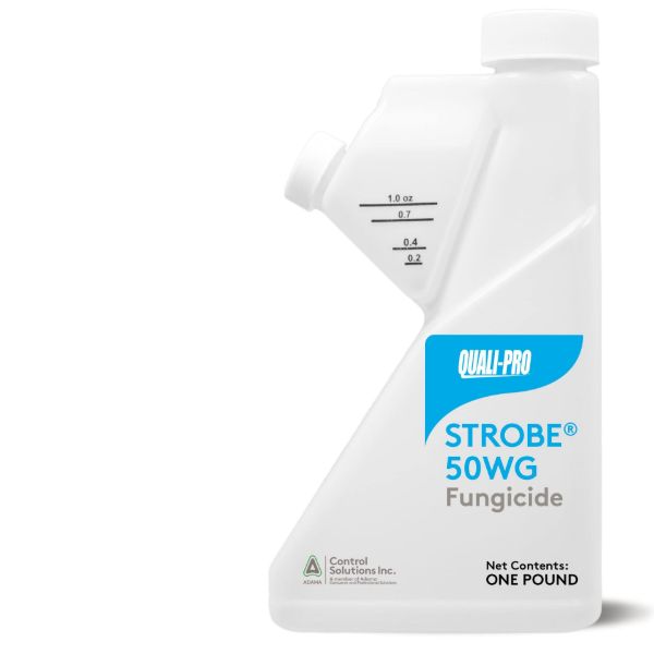 Picture of STROBE L (2X1GAL)