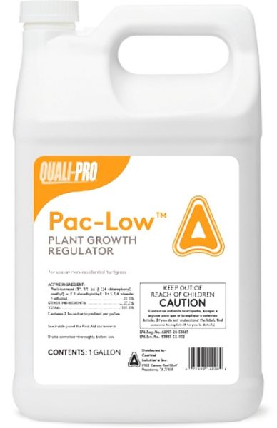Picture of TIDE PACLO (4x1GAL)