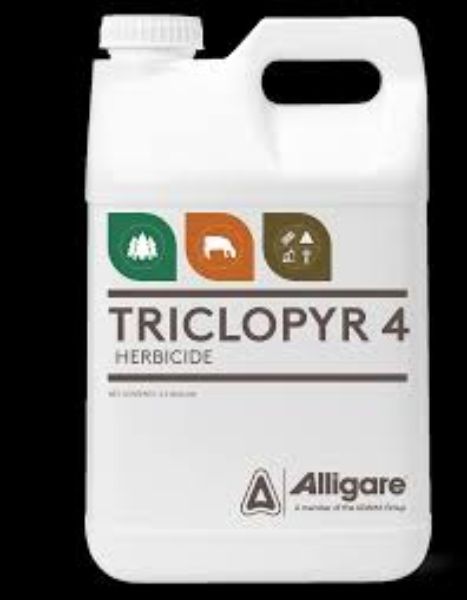 Picture of TRICLOPYR 4 EC (2X2.5GAL)