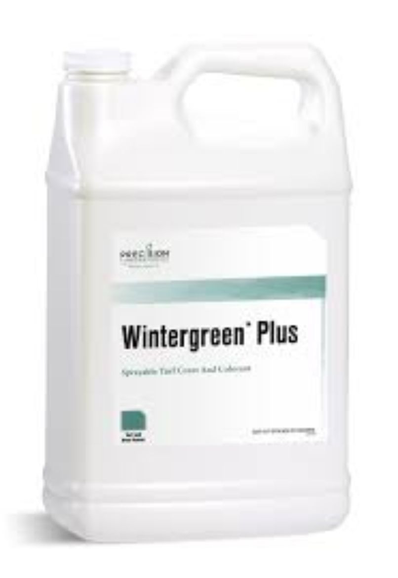 Picture of WINTERGREEN (2X2.5GAL)