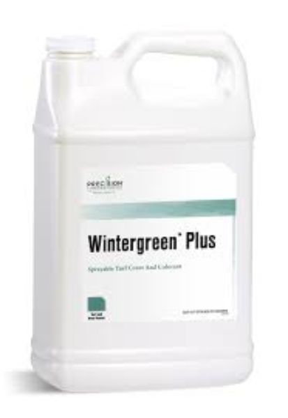 Picture of WINTERGREEN (2X2.5GAL)