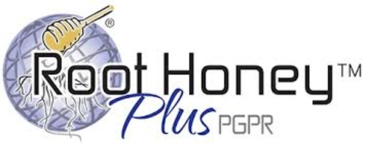 Picture of ROOT HONEY PLUS PGPR (PLUS) (2X2.5GAL)