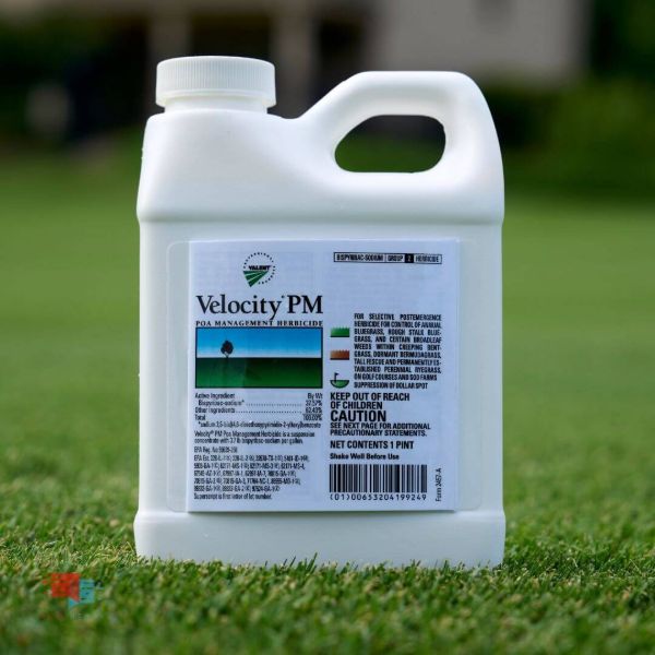 Picture of VELOCITY PM (8X1PINT) CASE